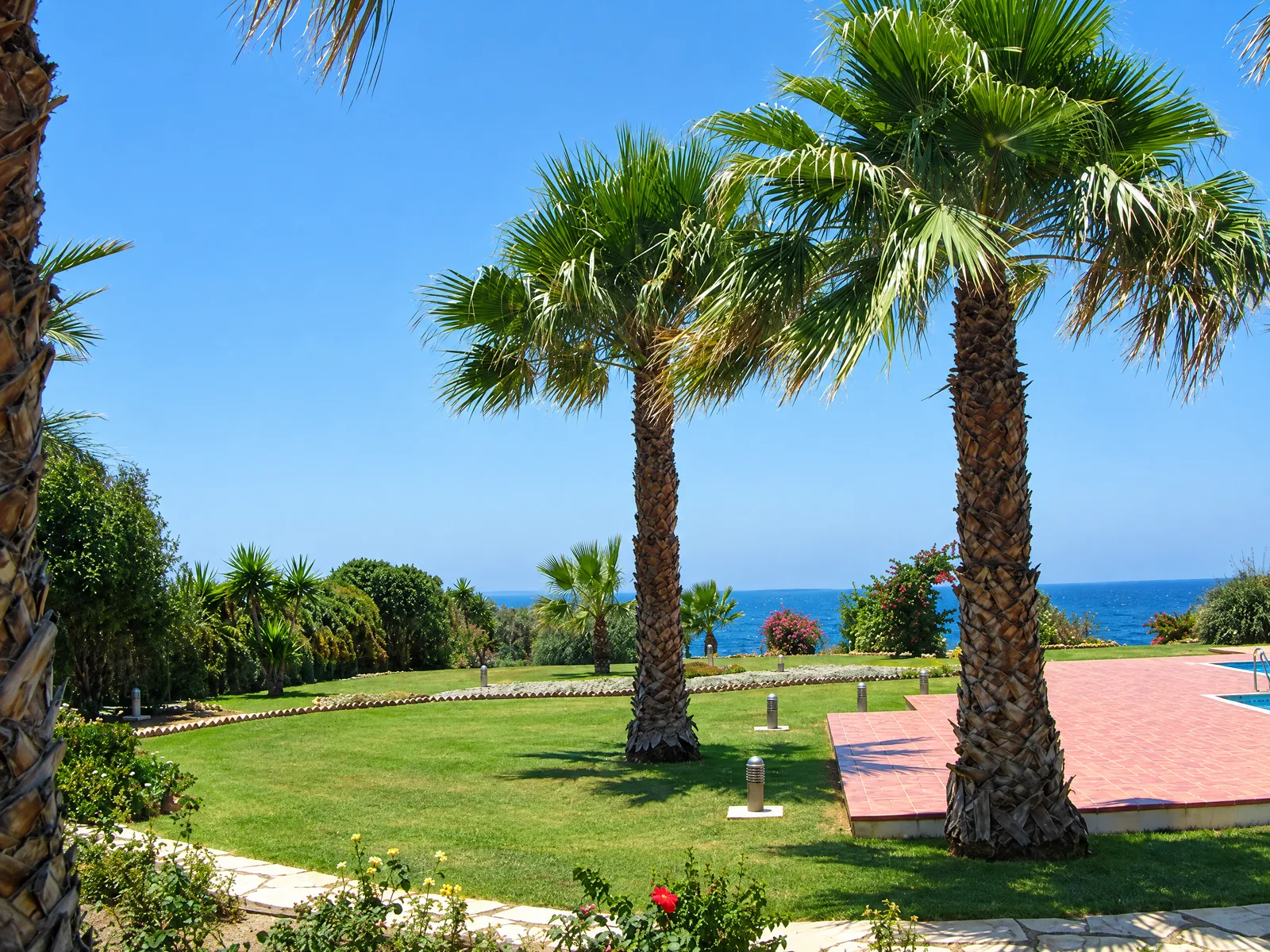 A Begonia garden: lawn and tall palms above the sea
