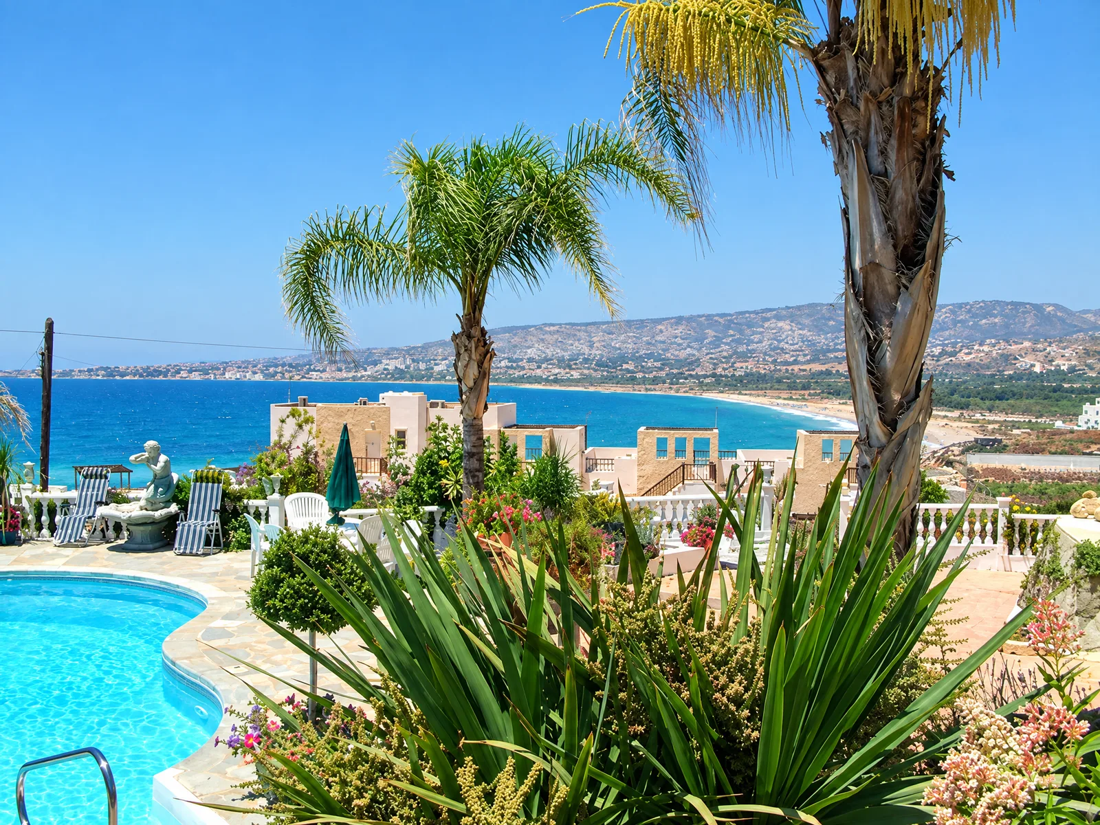 Pool garden with palms and a view over the bay